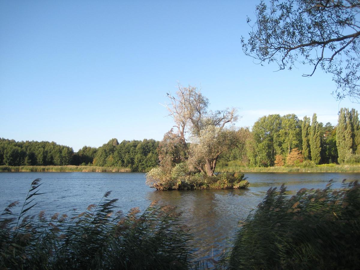 Ferienwohnung - Strandoase Heringsdorf Zewnętrze zdjęcie